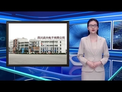 Mikrowellenwiderstände RIG