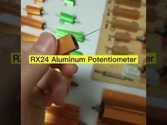 RX24 Gold-Aluminium-Schalen-Wirewund-Widerstand