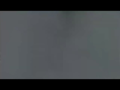 Potentiometerknopf (2)